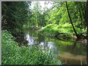 angeln und fischen im Fließgewässer Waldnaab  Fließgewässer Waldnaab zwischen W.-Eschenbach und Wurz
