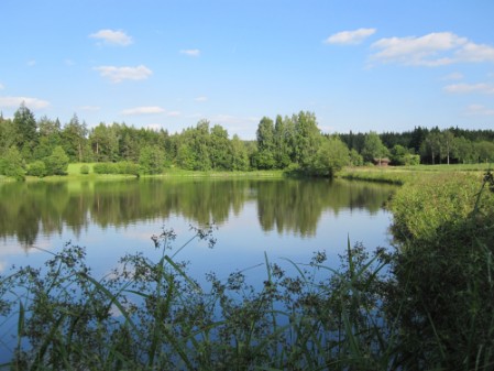Spenglerweiher bei Plößberg