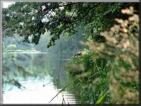 perfekte Ruhe beim Angeln im Hornmühlweiher